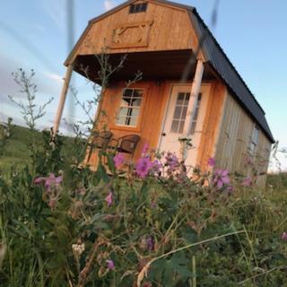 Babb Montana Old West Cabins 게스트하우스 외부 사진